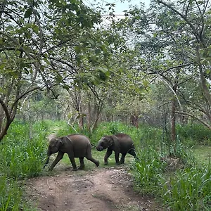 Ubytování v soukromí Sigiri Corridor, Sigiriya